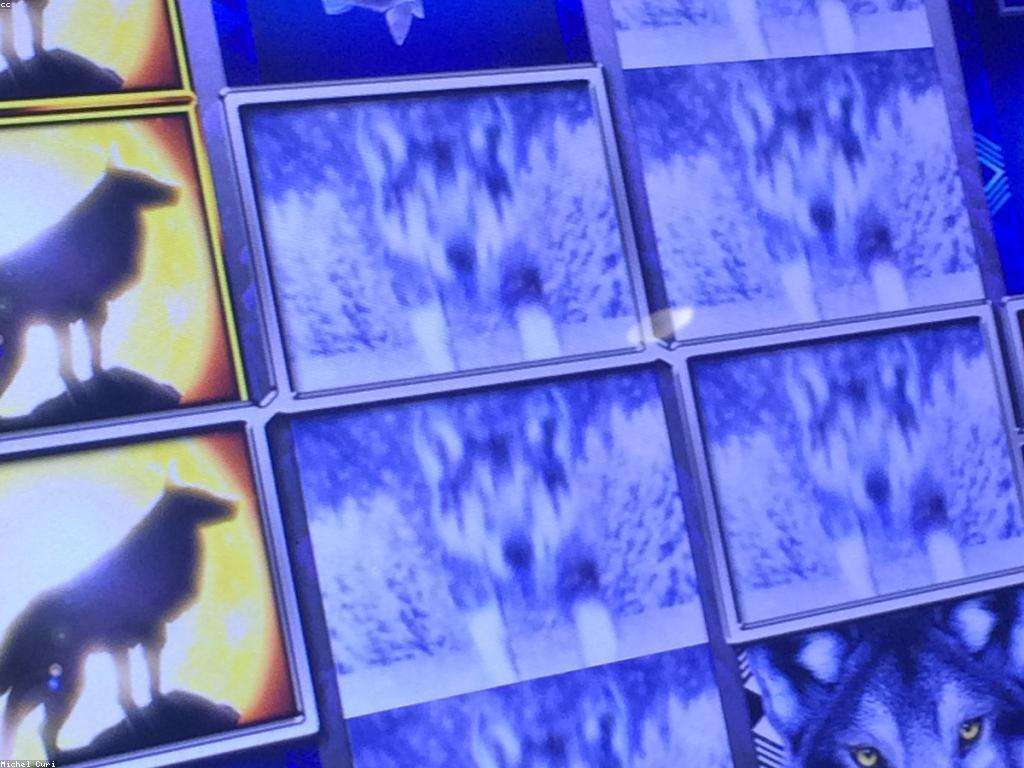 ប្រភេទល្បឿននៅកាស៊ីណូ