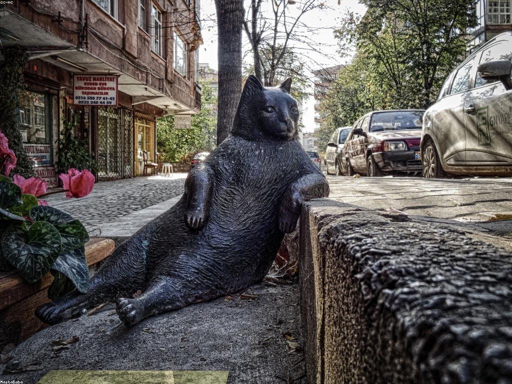 ផលប៉ះពាល់នៃច្បាប់និងបទបញ្ជា