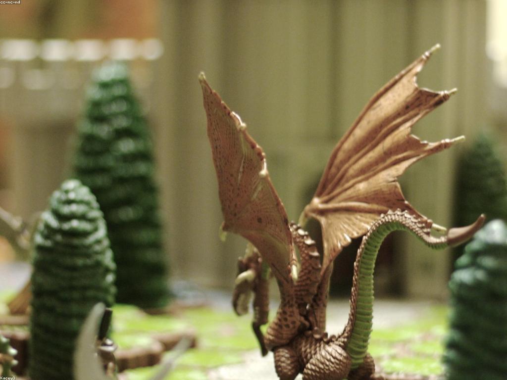 แแปแแแแแถแแแแแแแแแแ: แแถแแแแแแพแแแแแแแแถแแแแแปแแแถแแแแ